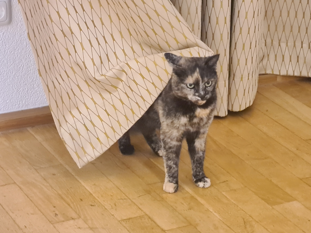 Buchenau_2023 (199).jpg